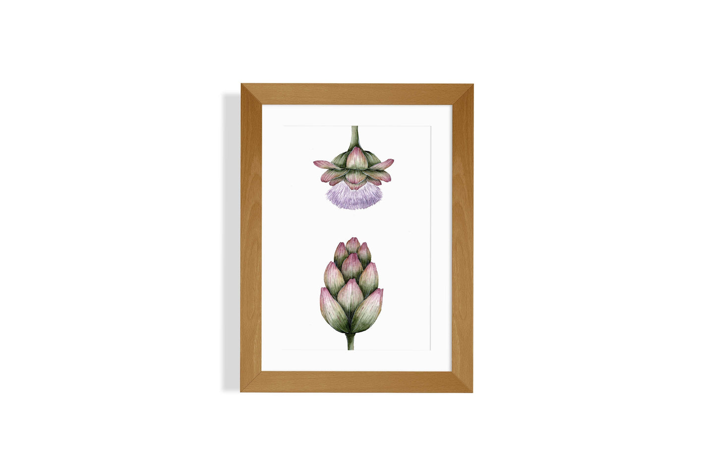 Artichokes Art Print